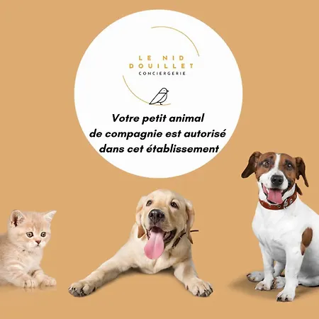 Lägenhet Grand Avec Jardin Privatif A